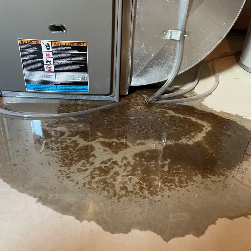 Appliance Leak Cleanup in Tucker County, WV