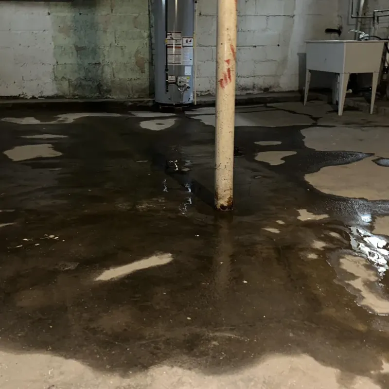 Emergency Water Extraction And Removal in Tucker County, WV